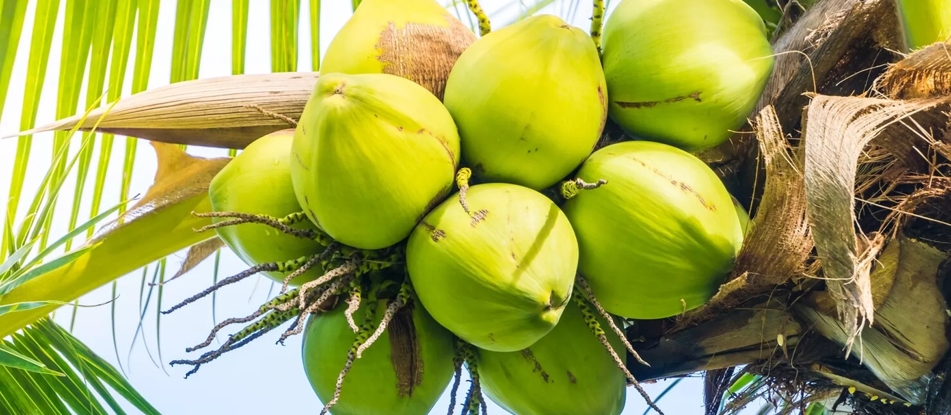 Sản phẩm khác