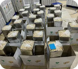 Hạt điều