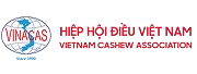 Hiệp hội điều việt nam