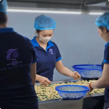 Địa điểm kinh doanh nhà máy chế biến và đóng gói hạt điều