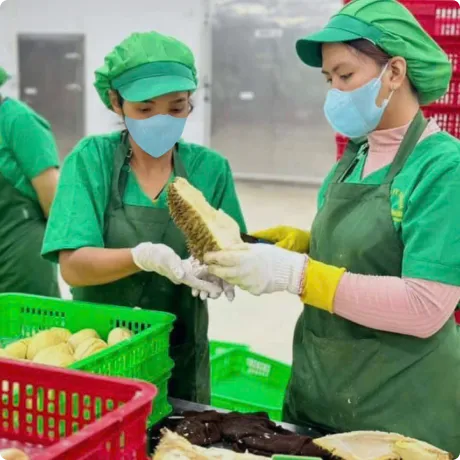 Địa điểm kinh doanh chế biến trái cây