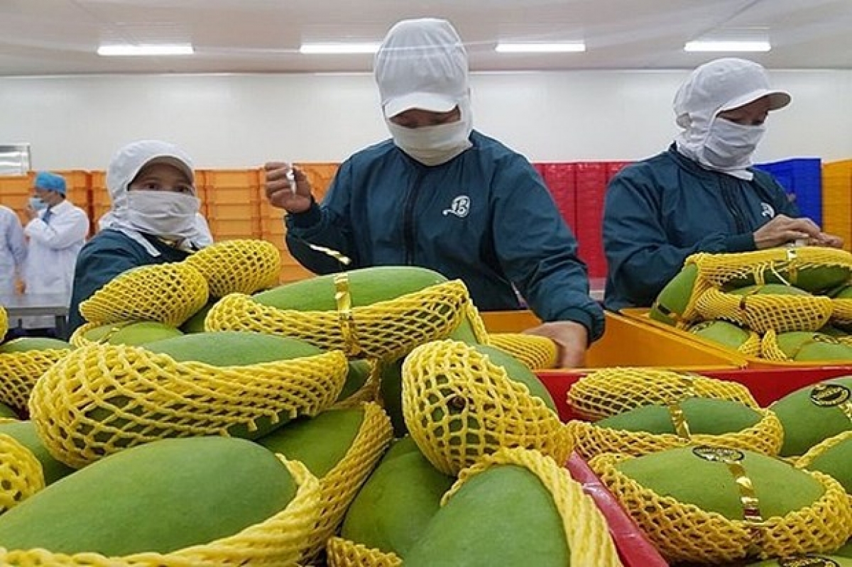 Cơ hội xuất khẩu vào các thị trường mới của nông sản Việt Nam