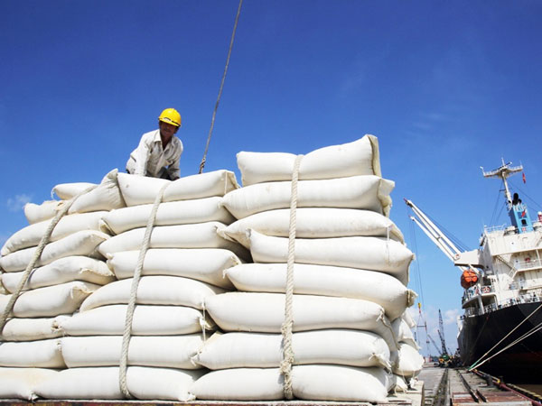 Việt Nam đang bỏ xa Thái Lan về xuất khẩu gạo
